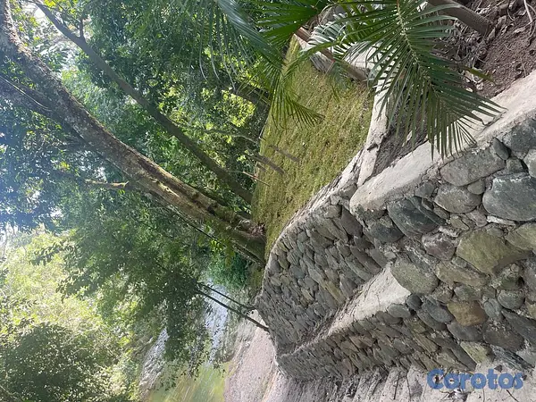 solares y terrenos - Lotes Disponibles para Villas en Buena Vista, Jara 9