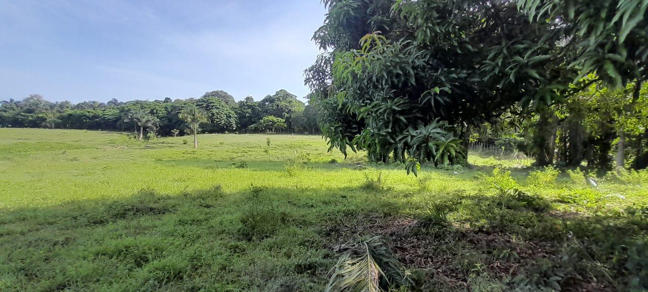 solares y terrenos - Vendo terrenos en Carretera la Isabela 6
