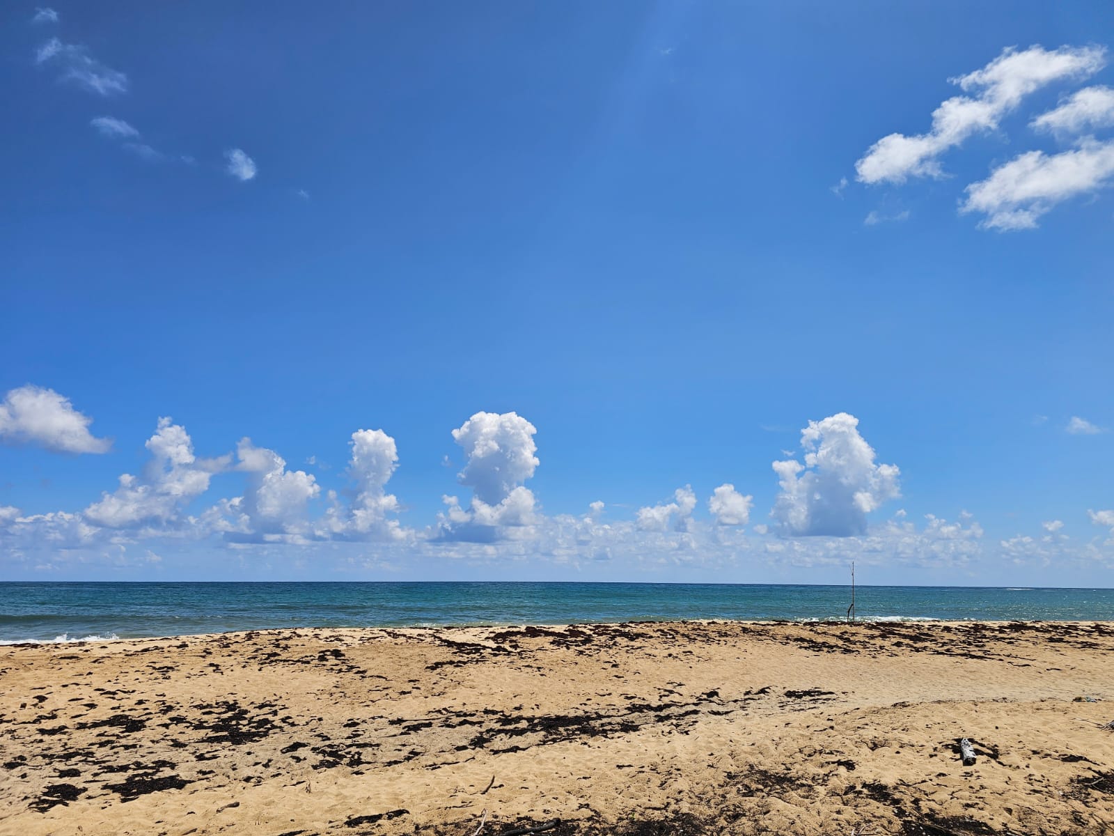 solares y terrenos - VENDO EN PLAYA EL LIMÓN EN MICHES HERMOSOS TERRENOS A PIE DE PLAYA  5