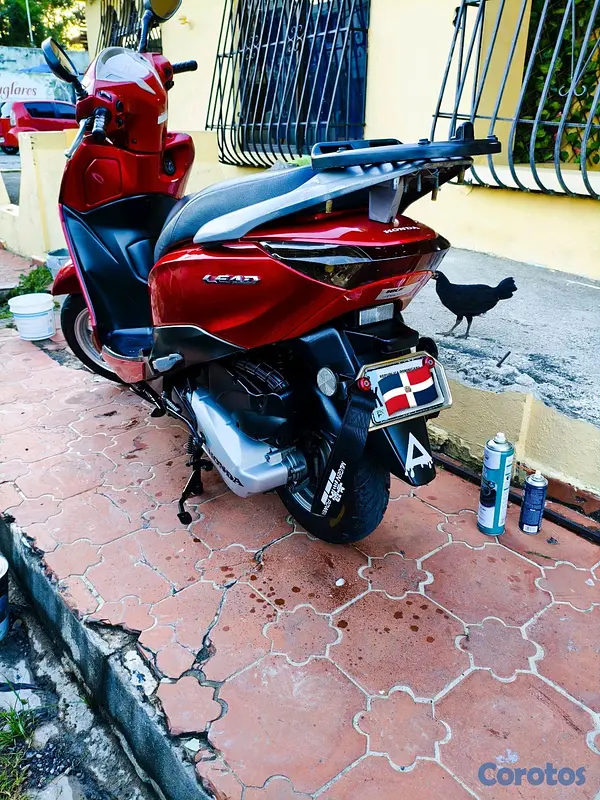 motores y pasolas - Pasola motobison Lead  5