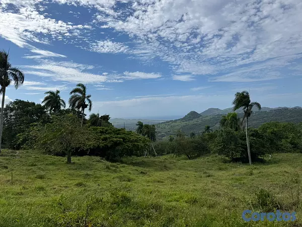 solares y terrenos - 🌿 Tropical Breeze Cupey – Proyecto Ecológico  9