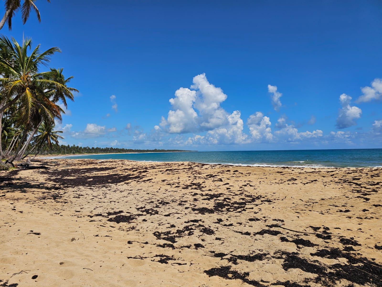 solares y terrenos - VENDO EN PLAYA EL LIMÓN EN MICHES HERMOSOS TERRENOS A PIE DE PLAYA  6