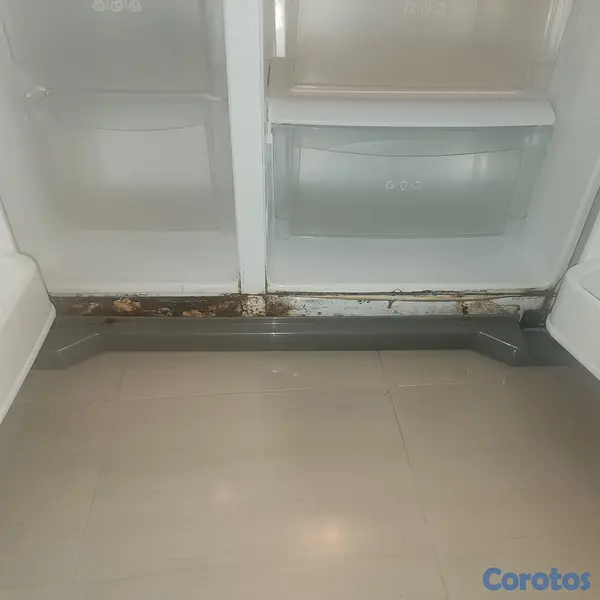 electrodomesticos - Nevera LG de dos puertas 3