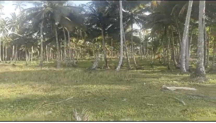 solares y terrenos - vendo terreno para proyecto turístico Gaspar Hernández