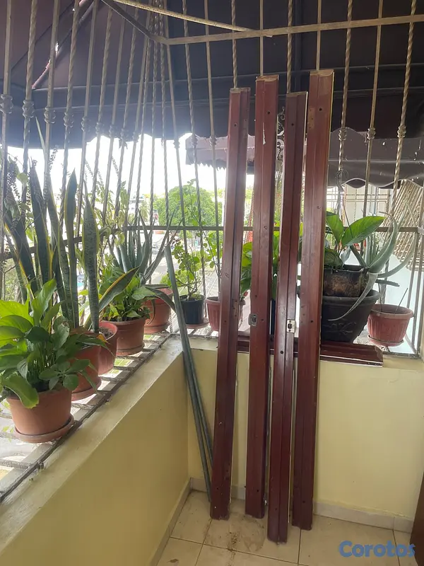 herramientas, jardines y exterior - Se vende dos puertas en caobas 2