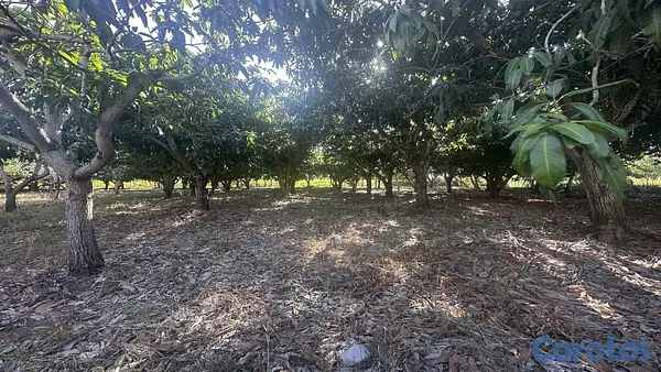 solares y terrenos - Venta terreno en Bani- Provincia Peravia Rep.Dom 2