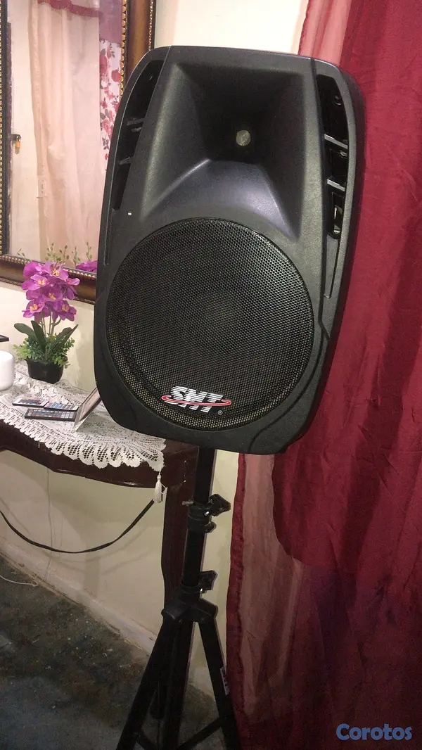 camaras y audio - Bocina SMT 6