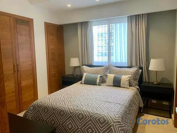 apartamentos - Apartamento en Alquiler en Piantini Amueblado de U 13