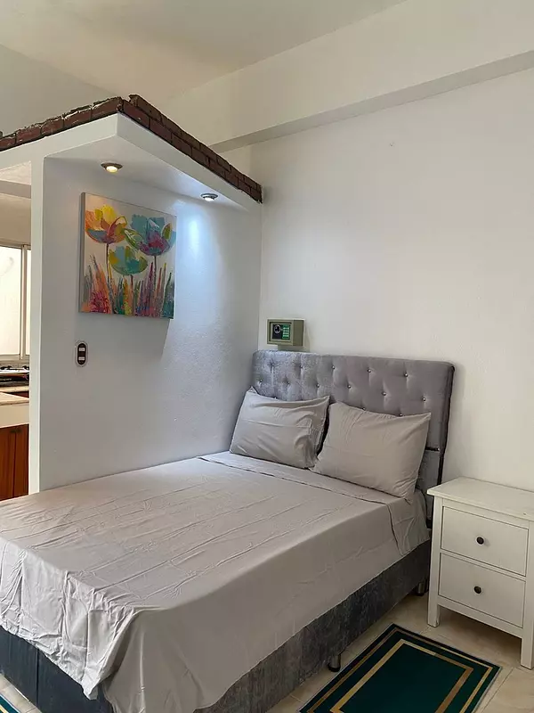 apartamentos - Zona Colonial, Alquiler Apartamento Estudio Próximo a La Calle El Conde 3