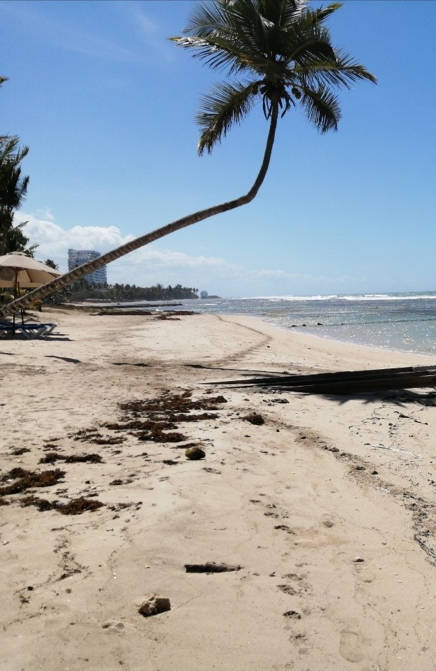 Solar Juan Dolio Frente Playa 4,321.72 Mts Pará Proyectos y Villas US$950xM2