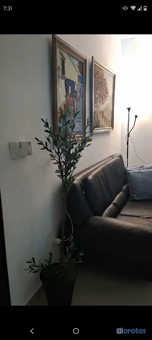 apartamentos - Apartamento Arroyo Hondo  2