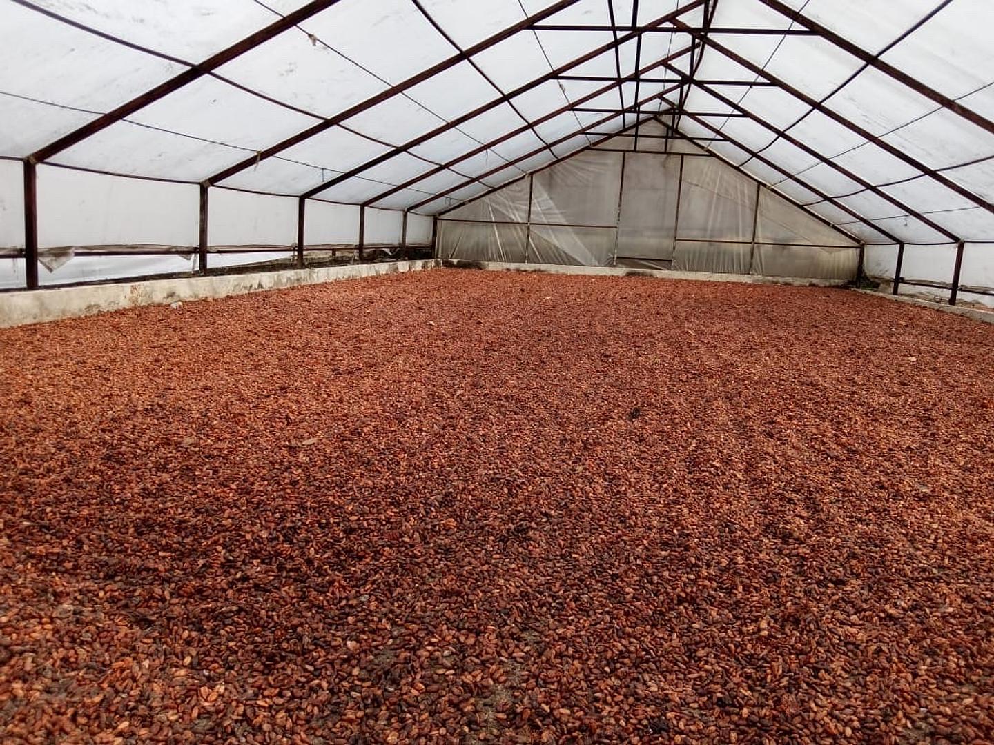 solares y terrenos - vendo finca de  acacao en promoción  1