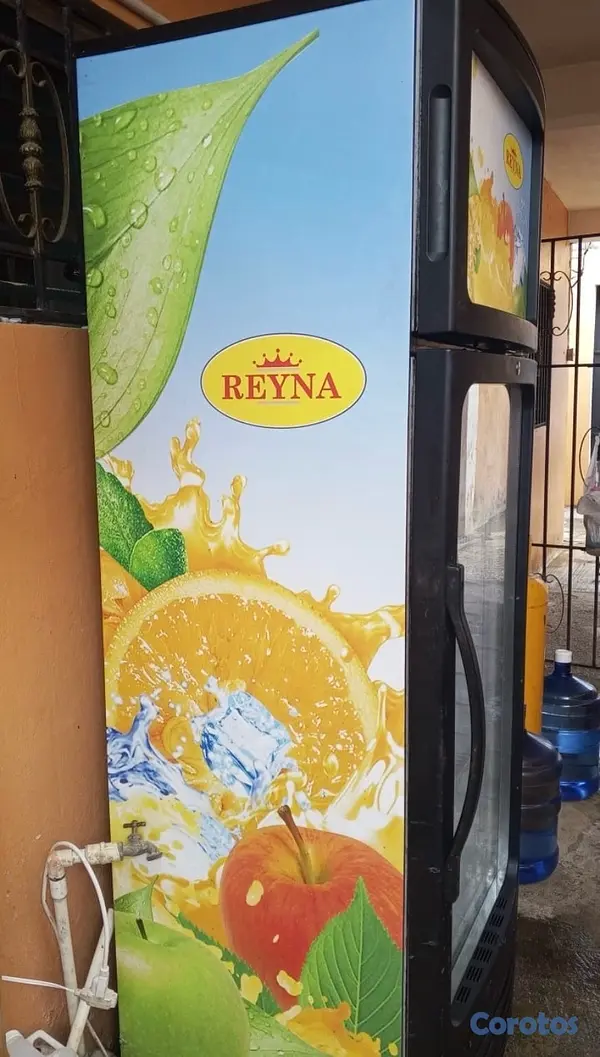 electrodomesticos - Nevera exhibidora con freezer  2
