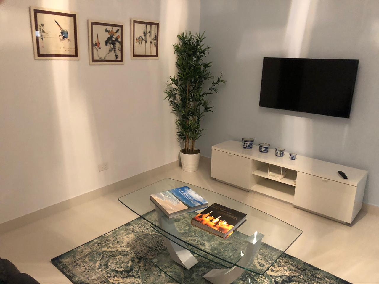 apartamentos - Apartamento AMUEBLADO  TORRE MODERNA  2