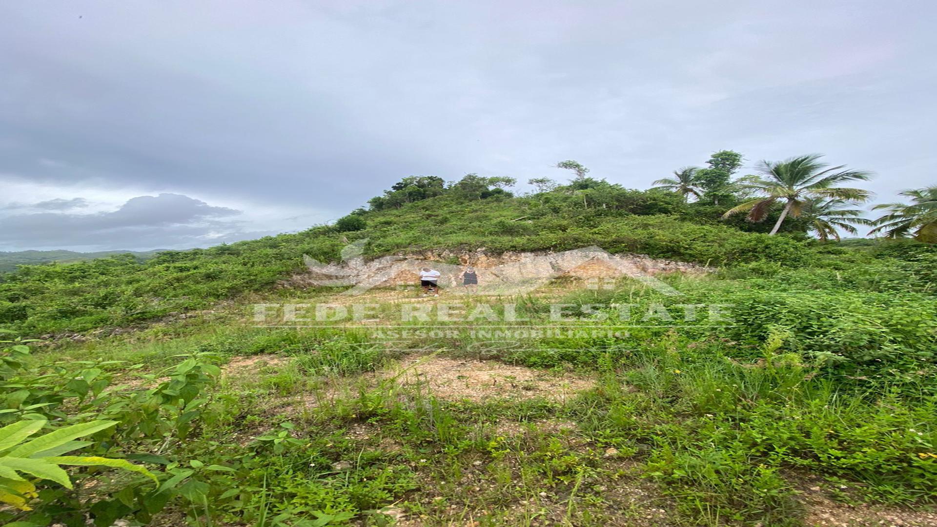 solares y terrenos - TERRENO EN VENTA DE 118,708.28 M2 EN LAS TERRENAS