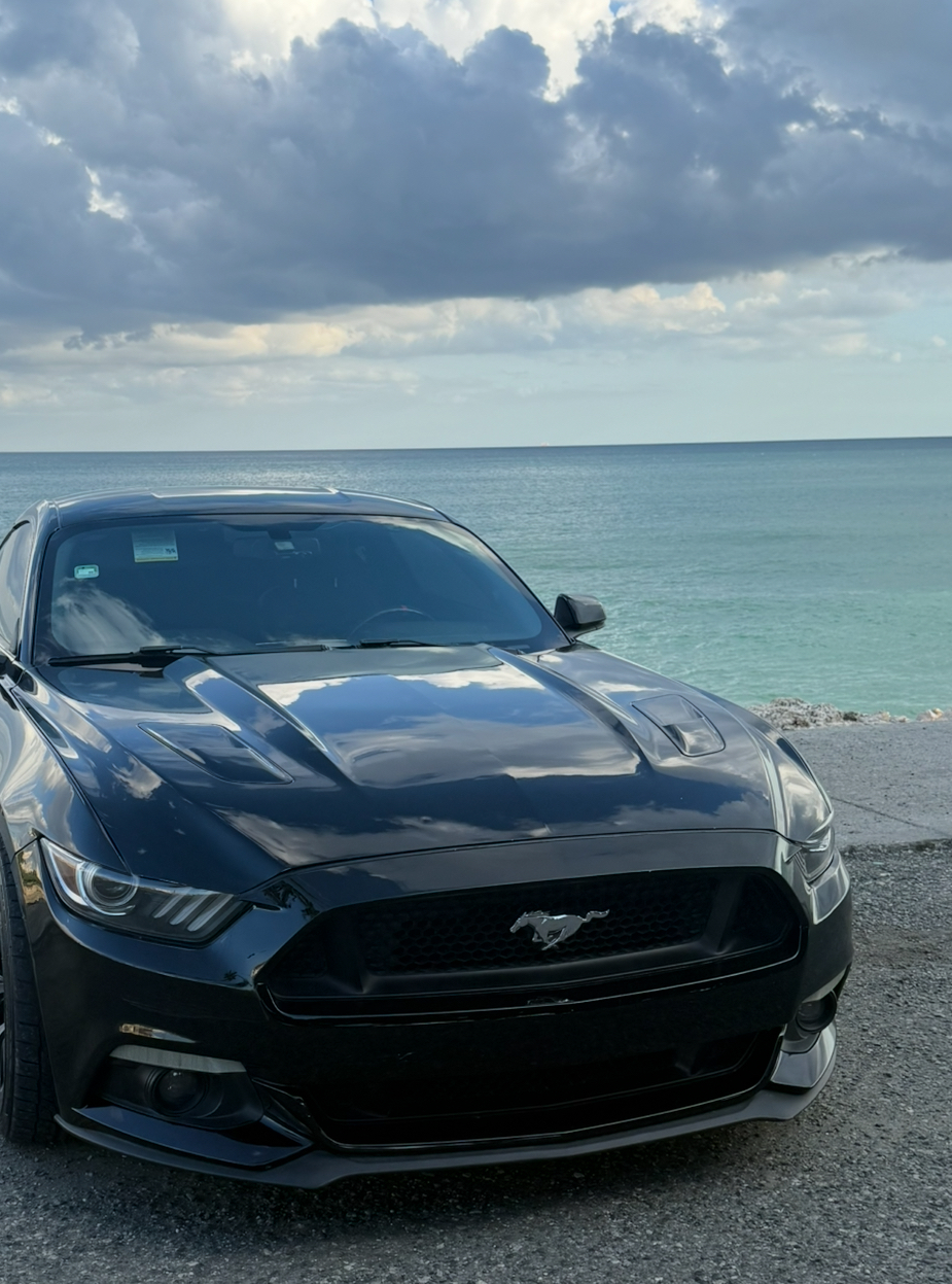 carros - Mustang GT premium 5.0 V8 clean 7
