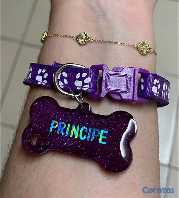 animales y mascotas - Collares y Chapillas personalizadas para mascotas  3