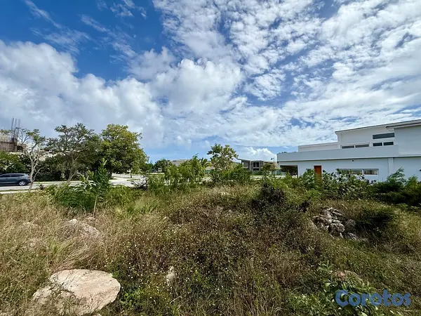 solares y terrenos - Terreno en Cap Cana con CONFOTUR 4