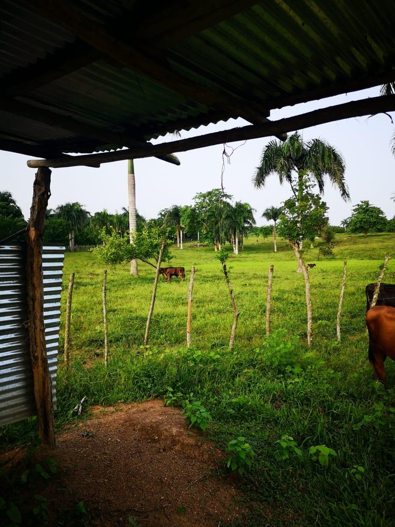 solares y terrenos - Vendo finca para ganado y agricultura en san pedro de Macorís 