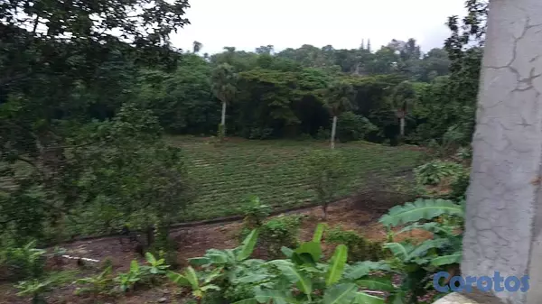 solares y terrenos - Venta de finca con edificación comercial / residencial 5