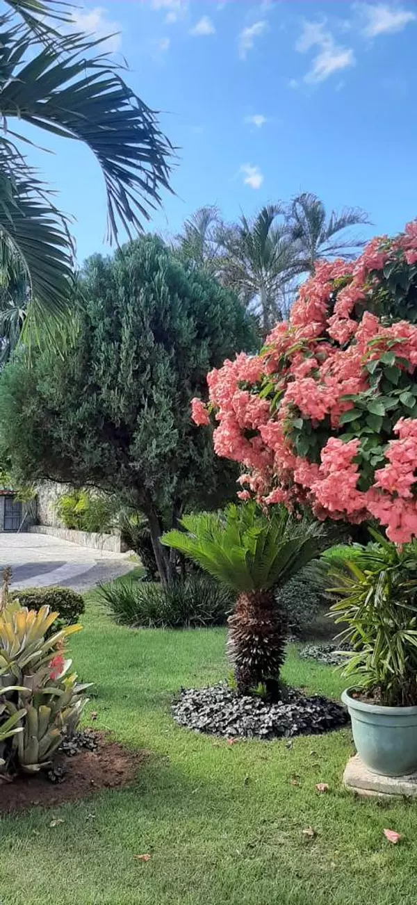 casas vacacionales y villas - SE VENDE Propiedad en área de playa “Juan Dolio-San Pedro de Macoris 3