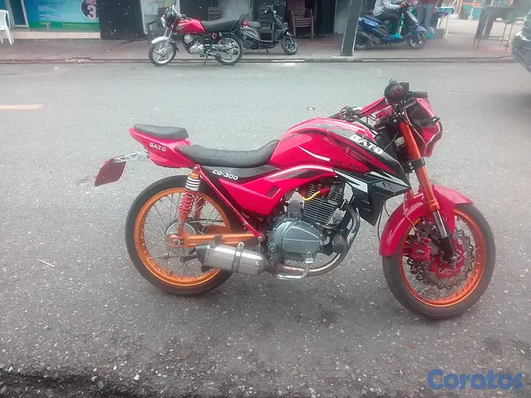 motores y pasolas - Super gato 300cc racing full accesorios  6