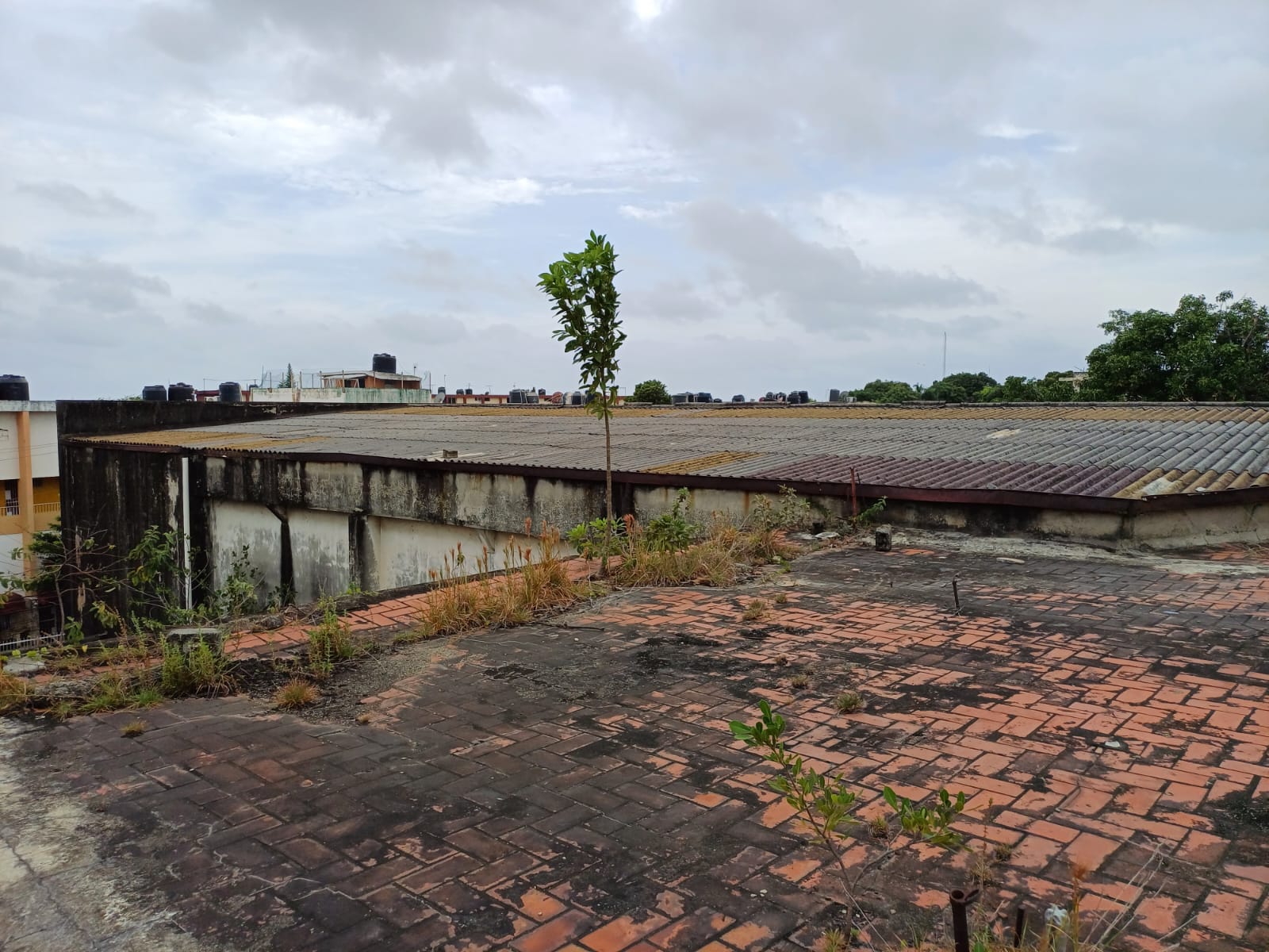 oficinas y locales comerciales - Nave a Remodelar Próximo a la Zona Colonial 10