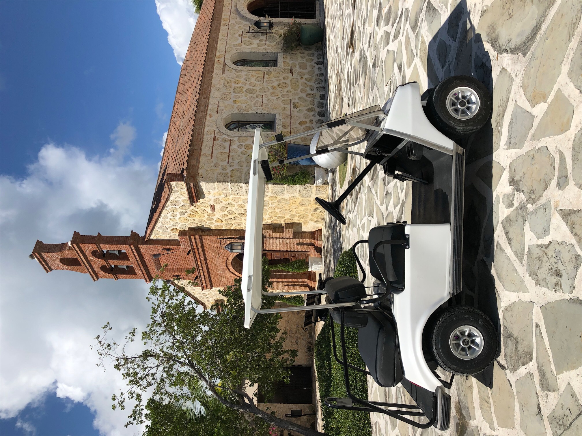 vehiculos recreativos - Cap Cana golf cart