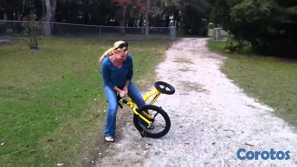 bicicletas y accesorios - Triciclo  5