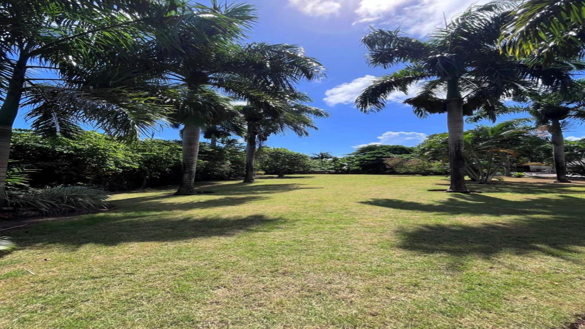 solares y terrenos - Venta de terreno cerca de la playa - las Galeras Samaná