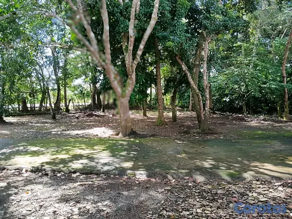 solares y terrenos - finca de 12 tareas. con su casa campestre en Monte Plata  12