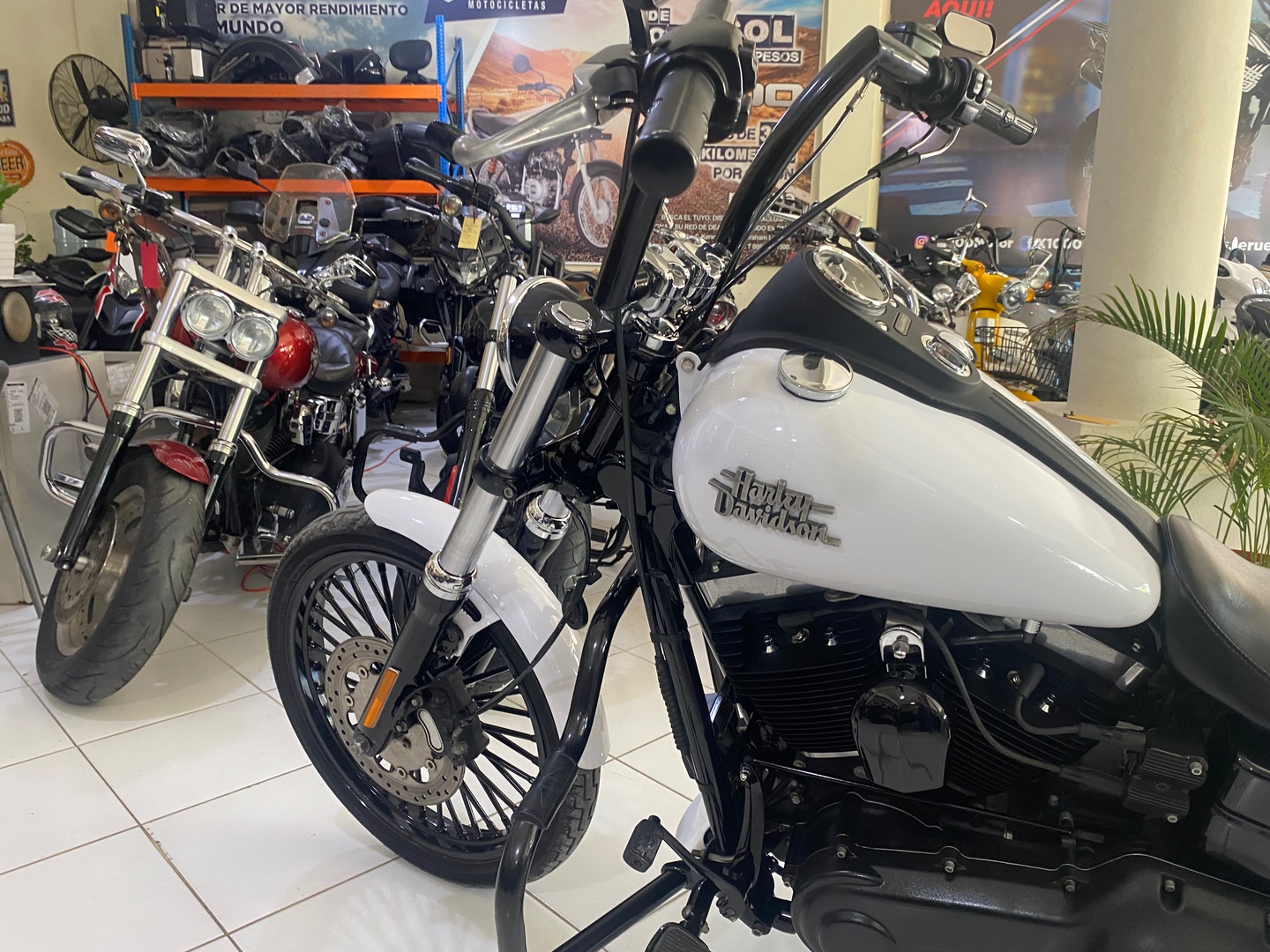 motores y pasolas - Harley Davidson Dyna Street Bob 2