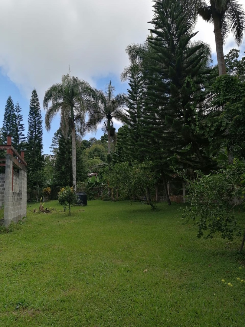 casas vacacionales y villas - Vendo mejora en La montaña de san Cristobal 
La colonia  6