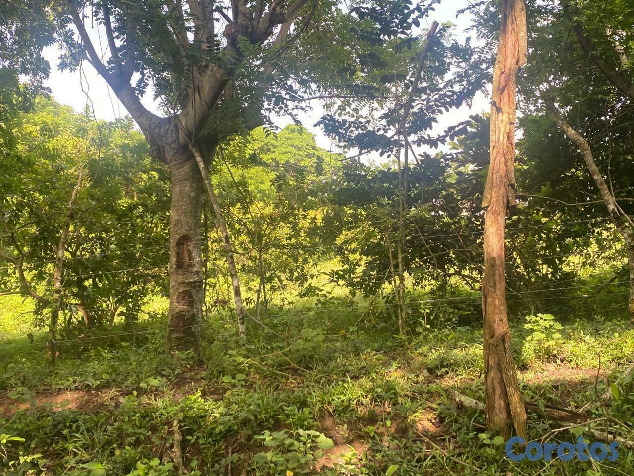 solares y terrenos - SOLAR EN VENTA JOBILLO 4