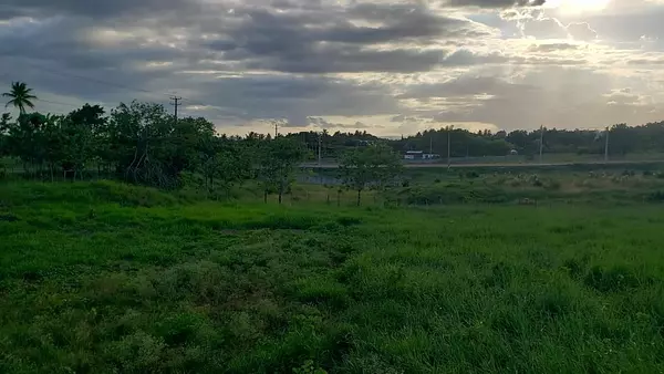solares y terrenos - Solar en venta en Sanchez - Samana 8