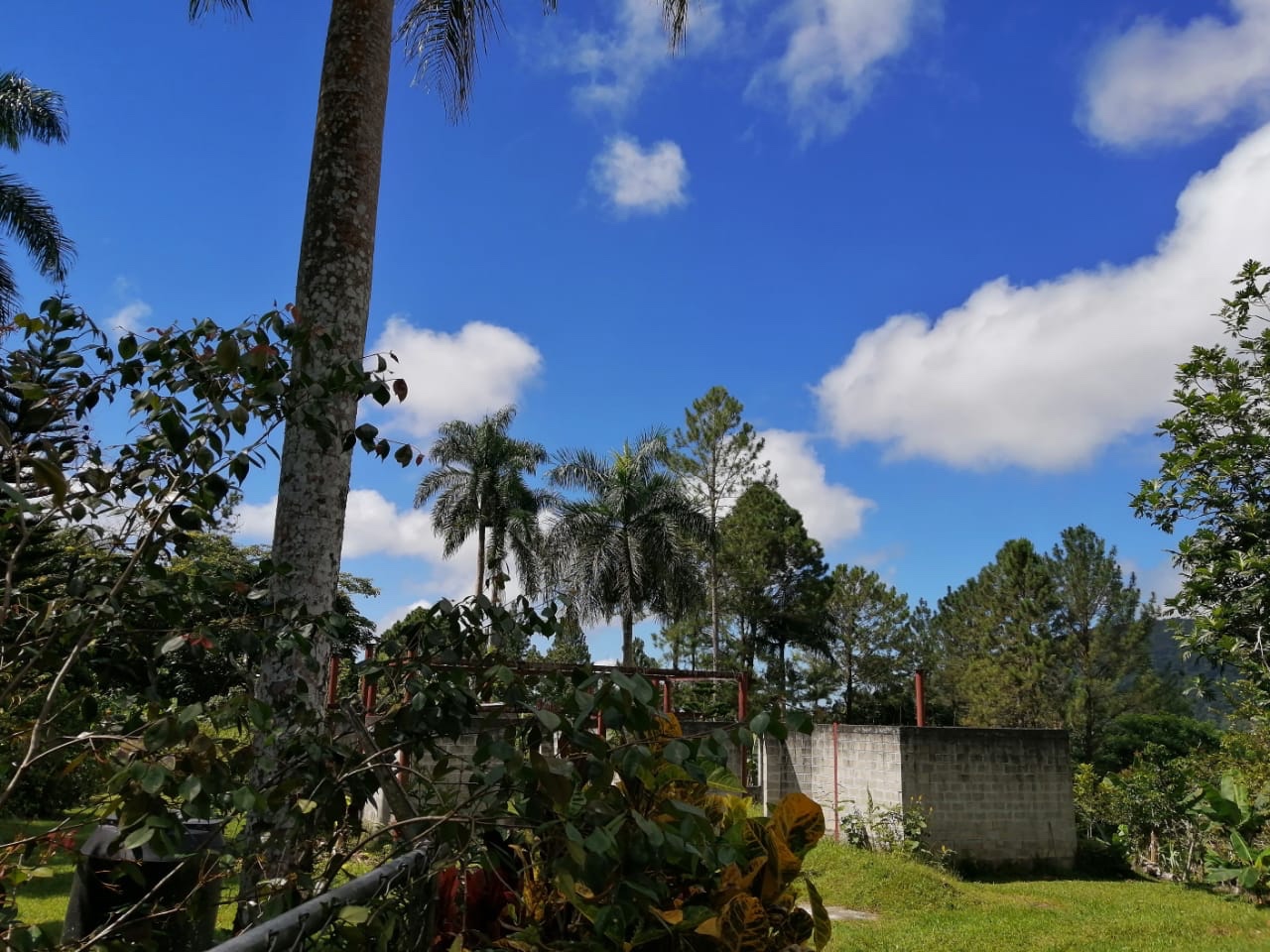 casas vacacionales y villas - Vendo mejora en La montaña de san Cristobal 
La colonia  7