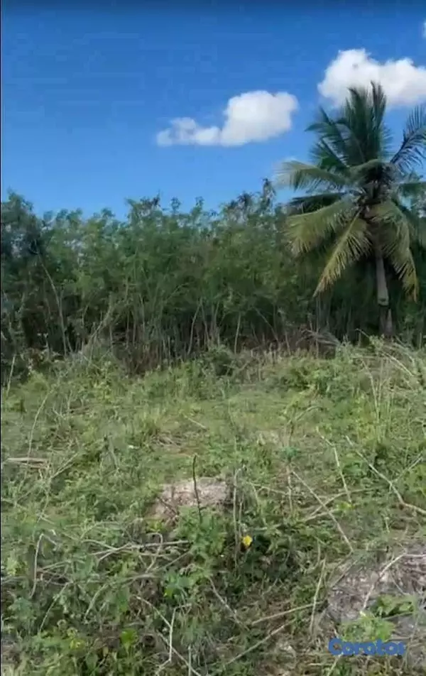solares y terrenos - Se Alquila AMPLIO solar en Yaguate, 3155 Mt2 2