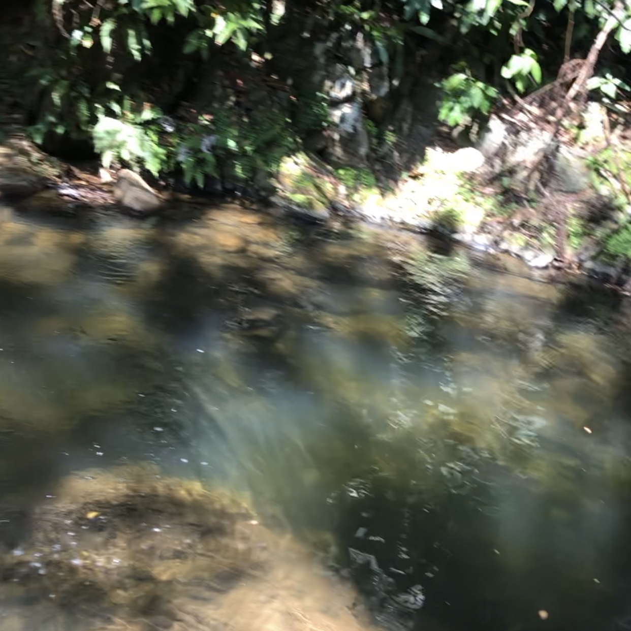 solares y terrenos - ideal para villa o casa de campo acceso a rio yuboa. agua y luz calle asfaltada.