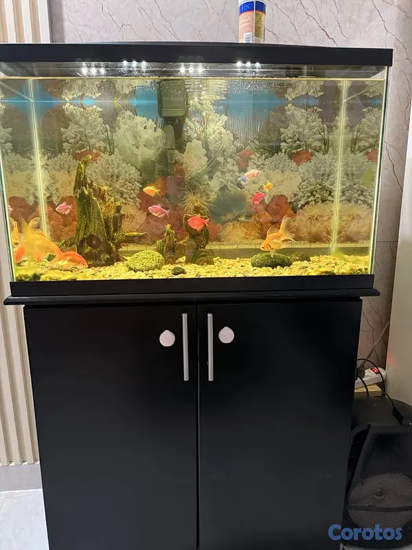 decoración y accesorios - pecera 3