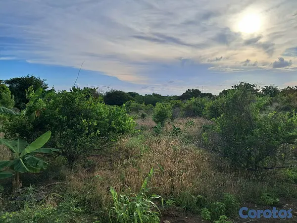 solares y terrenos - Venta de 35 Tareas en Las Calderas, Baní – Excelen 3