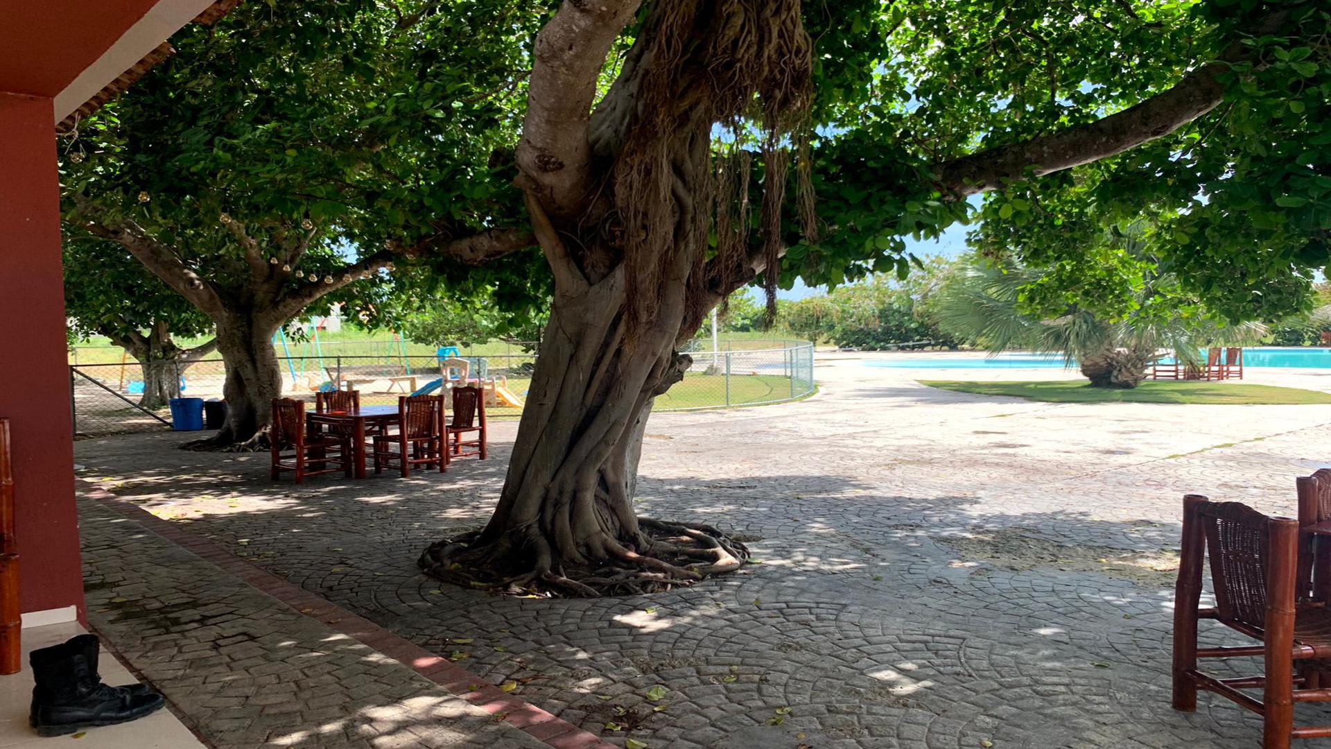 apartamentos - Apartamento de oportunidad en Bavaro 2