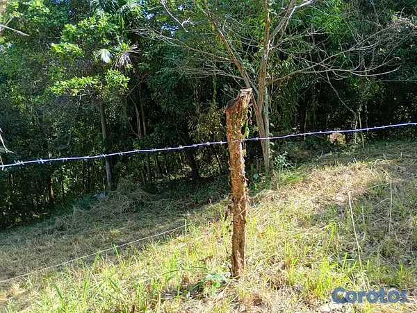 solares y terrenos - VENDO terreno en el Vacacional Matua 10