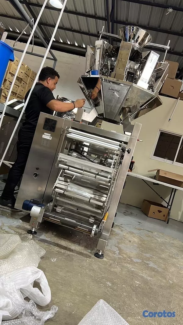 equipos profesionales - Máquina Empacadora Automática Multicabezal industrial acero inoxidable 4