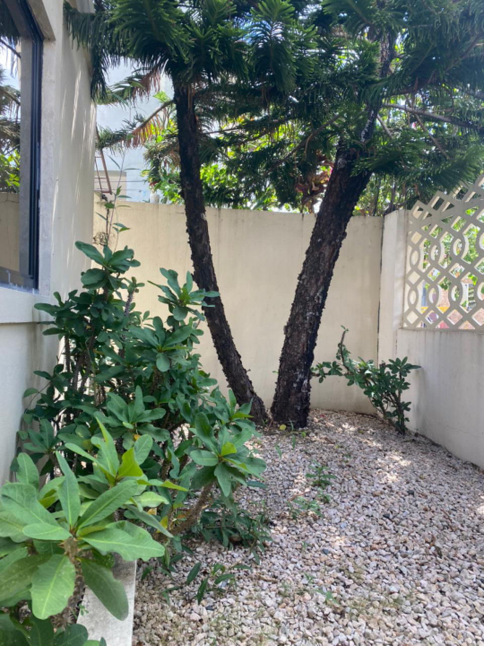 casas - Casa en venta en Colinas de Los Rios  0