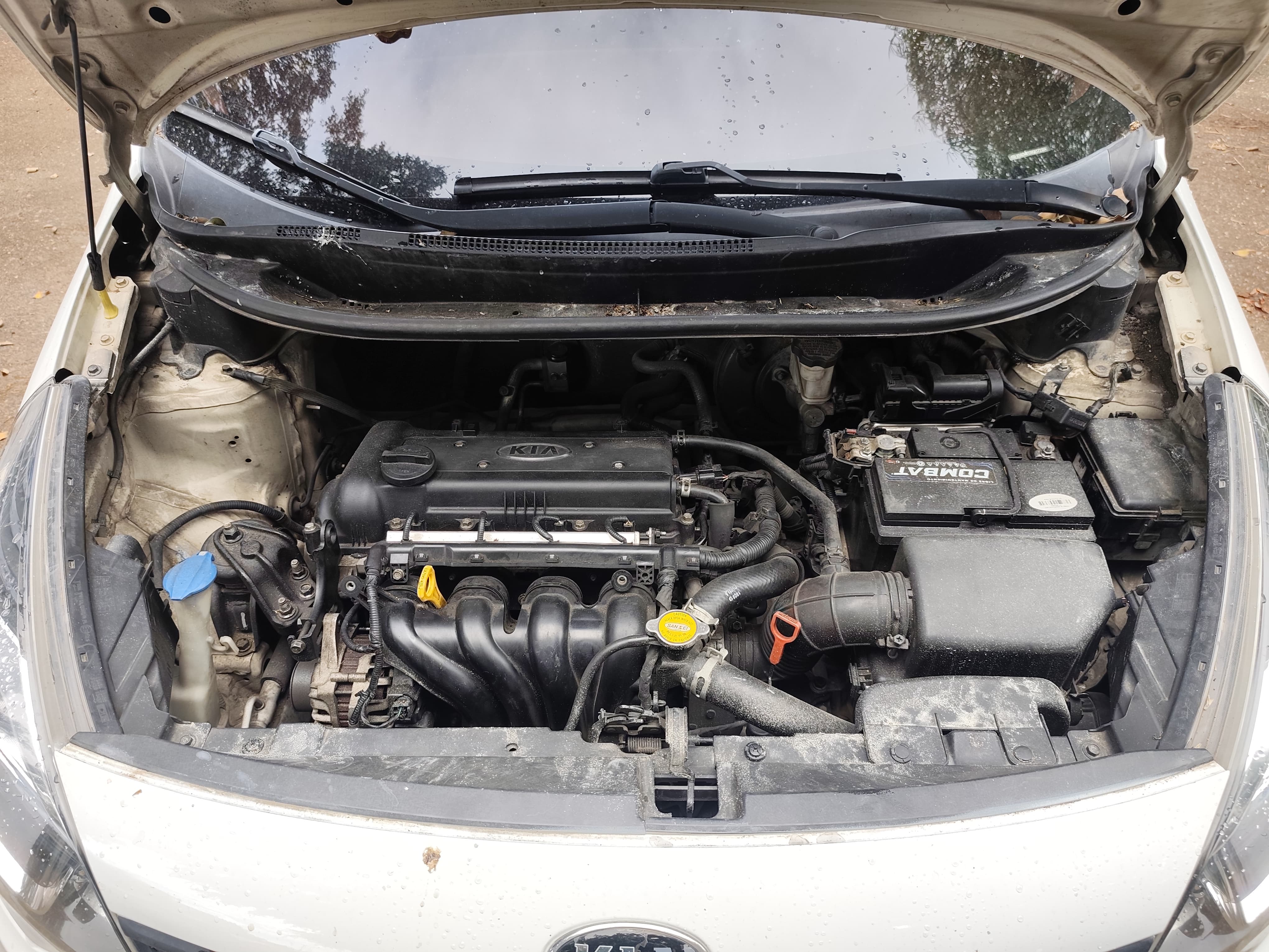 carros - kia rio 2016 4
