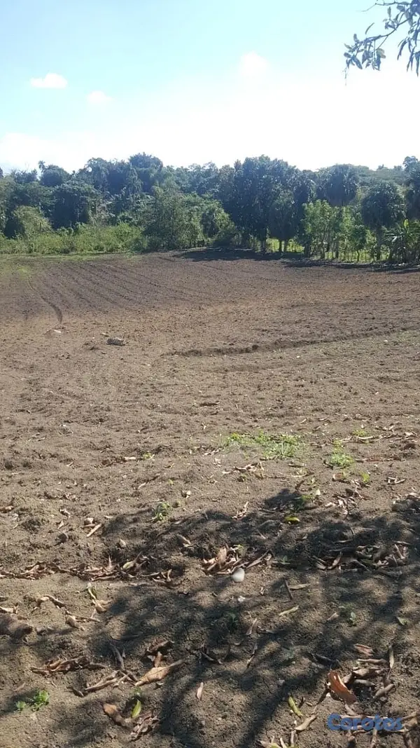 solares y terrenos - Venta de finca con edificación comercial / residencial 2