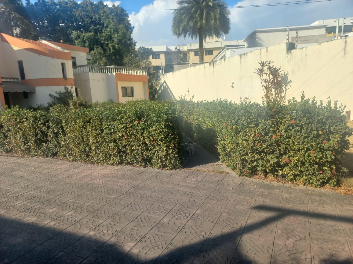 casas - Se vende casa en Los Cacicazgos 3