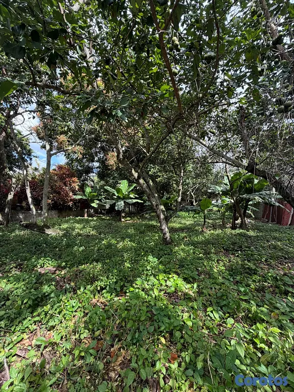 solares y terrenos - Excelente inversión Casa + Terreno, 448,000 M2 .
En corredor turístico !  10