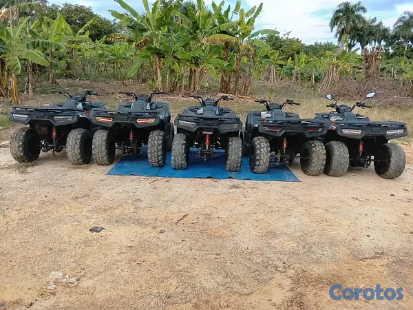 motores y pasolas - 4 Wheels Loncin GA  4