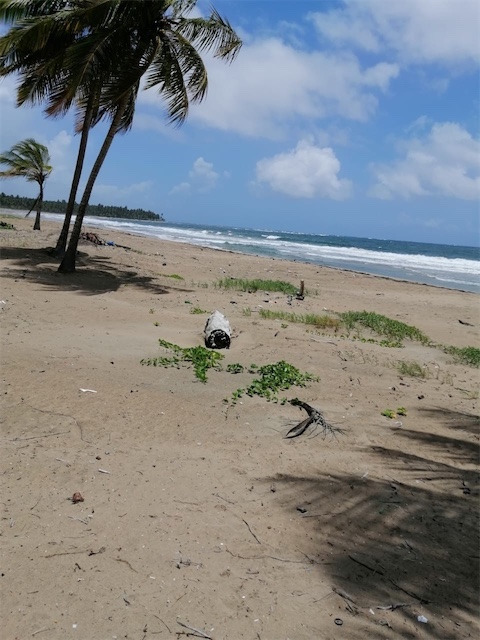 solares y terrenos - Vendo 11 tarea de tierra de playa en nagua tiene
10 cabaña para remodelar  0